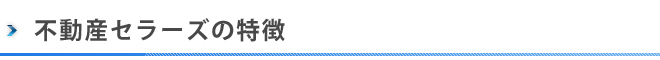不動産セラーズの特徴