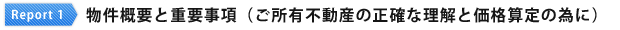 物件概要と重要事項（ご所有不動産の正確な理解と価格算定の為に）