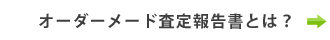 オーダーメード査定報告書とは？